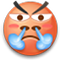 表情